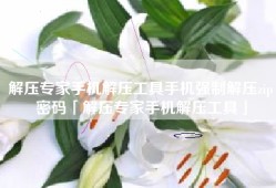 解压专家手机解压工具手机强制解压zip密码「解压专家手机解压工具」