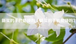 新买的手机能换吗（新买的手机能换吗？）