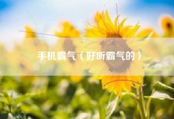 手机霸气（好听霸气的）