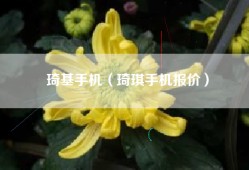 琦基手机（琦琪手机报价）
