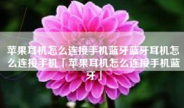 苹果耳机怎么连接手机蓝牙蓝牙耳机怎么连接手机「苹果耳机怎么连接手机蓝牙」