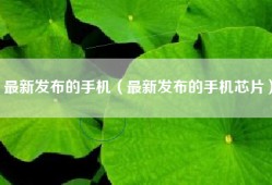 最新发布的手机（最新发布的手机芯片）
