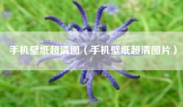 手机壁纸超清图（手机壁纸超清图片）