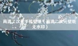 高清二次元手机壁纸（高清二次元壁纸无水印）