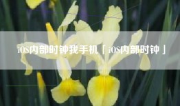 iOS内部时钟我手机「iOS内部时钟」