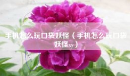 手机怎么玩口袋妖怪（手机怎么玩口袋妖怪xy）