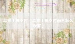 苹果手机支付（苹果手机支付面容怎么设置）