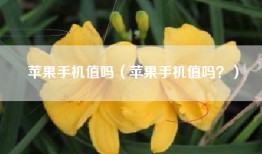 苹果手机值吗（苹果手机值吗？）