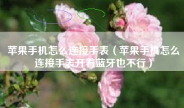 苹果手机怎么连接手表（苹果手机怎么连接手表开着蓝牙也不行）