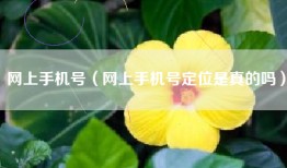 网上手机号（网上手机号定位是真的吗）