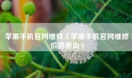 苹果手机官网维修（苹果手机官网维修价格查询）