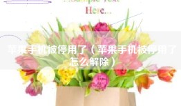 苹果手机被停用了（苹果手机被停用了怎么解除）