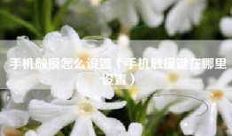 手机触摸怎么设置（手机触摸键在哪里设置）