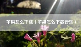 苹果怎么下载（苹果怎么下载音乐）