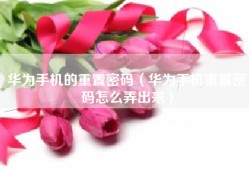 华为手机的重置密码（华为手机重置密码怎么弄出来）