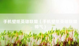 手机壁纸英雄联盟（手机壁纸英雄联盟帅气）