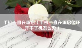 手机一直在重启（手机一直在重启循环开不了机怎么办）