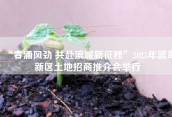 “春涌风劲 共赴滨城新征程”2025年滨海新区土地招商推介会举行