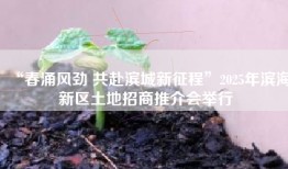 “春涌风劲 共赴滨城新征程”2025年滨海新区土地招商推介会举行