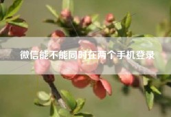 微信能不能同时在两个手机登录