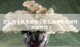 怎么用手机发邮件（怎么用手机发邮件添加附件）