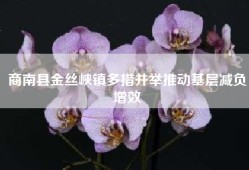商南县金丝峡镇多措并举推动基层减负增效