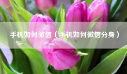 手机如何微信（手机如何微信分身）