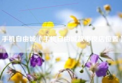 手机自由城（手机自由城故事夜店位置）
