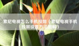 索尼电视怎么手机投屏（索尼电视手机投屏设置方法图解）