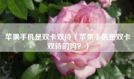 苹果手机是双卡双待（苹果手机是双卡双待的吗？）