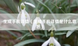 生成手机详情（生成手机详情是什么意思）