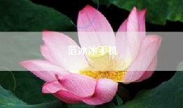范冰冰手机