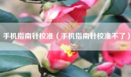 手机指南针校准（手机指南针校准不了）