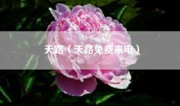 天路（天路免费来电）