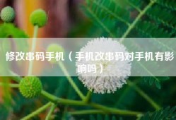 修改串码手机（手机改串码对手机有影响吗）