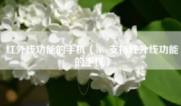红外线功能的手机（vivo支持红外线功能的手机）