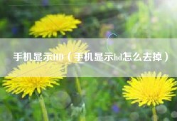 手机显示HD（手机显示hd怎么去掉）