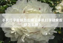 手机打字皮肤怎么换（手机打字键盘皮肤怎么换）