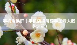 手机店换屏（手机店换屏幕手工费大概多少元）