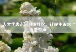 人大代表走进马浜社区，让民生诉求“落地有声”