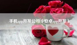 手机app开发公司（安卓app开发）
