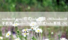 windows10 qcow2格式limbo系统 v2023windows10手机版「windows10 qcow2格式limbo系统 v2023」