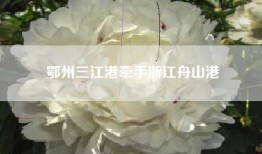 鄂州三江港牵手浙江舟山港