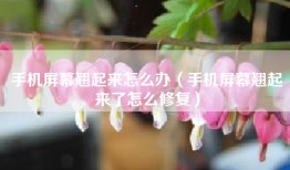 手机屏幕翘起来怎么办（手机屏幕翘起来了怎么修复）