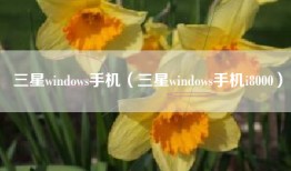 三星windows手机（三星windows手机i8000）