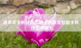 诺基亚手机什么系统（诺基亚智能手机什么系统）