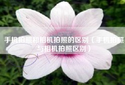 手机拍照和相机拍照的区别（手机拍照与相机拍照区别）