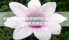 手机拍照和相机拍照的区别（手机拍照与相机拍照区别）