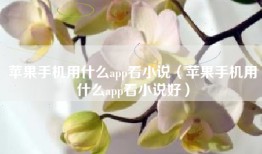 苹果手机用什么app看小说（苹果手机用什么app看小说好）