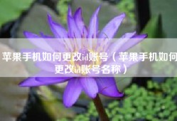 苹果手机如何更改id账号（苹果手机如何更改id账号名称）